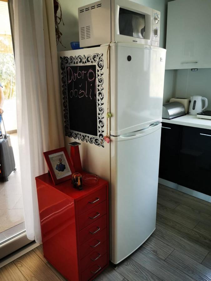 Studio Apartment Rosemary Ровин Екстериор снимка