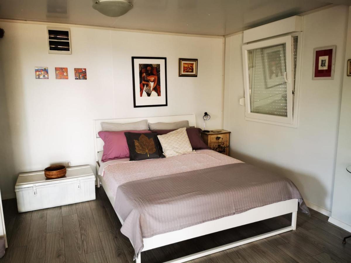Studio Apartment Rosemary Ровин Екстериор снимка