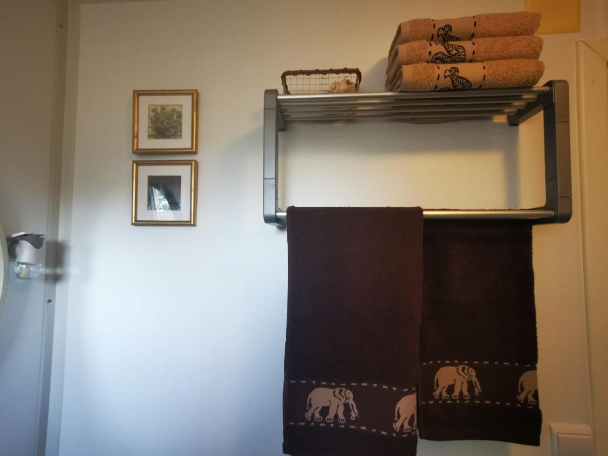 Studio Apartment Rosemary Ровин Екстериор снимка